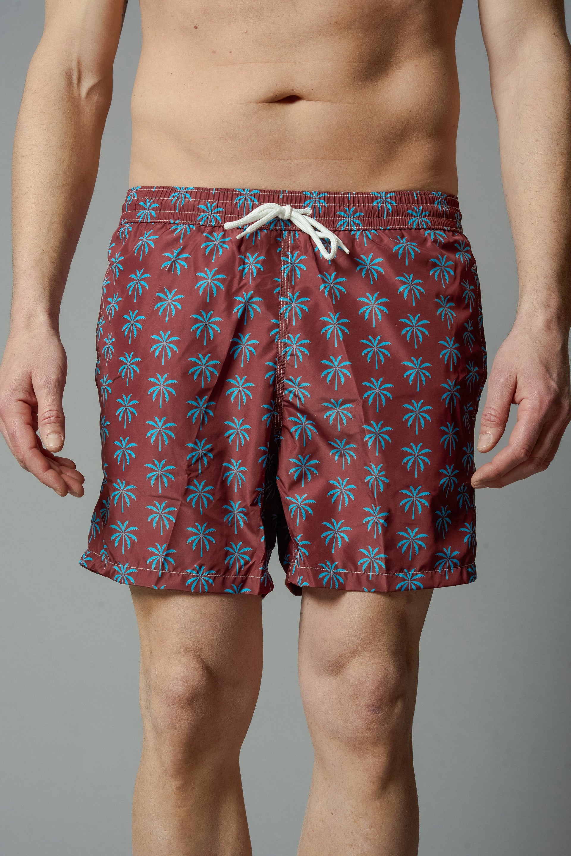 KAI Mens Swimwear Palms