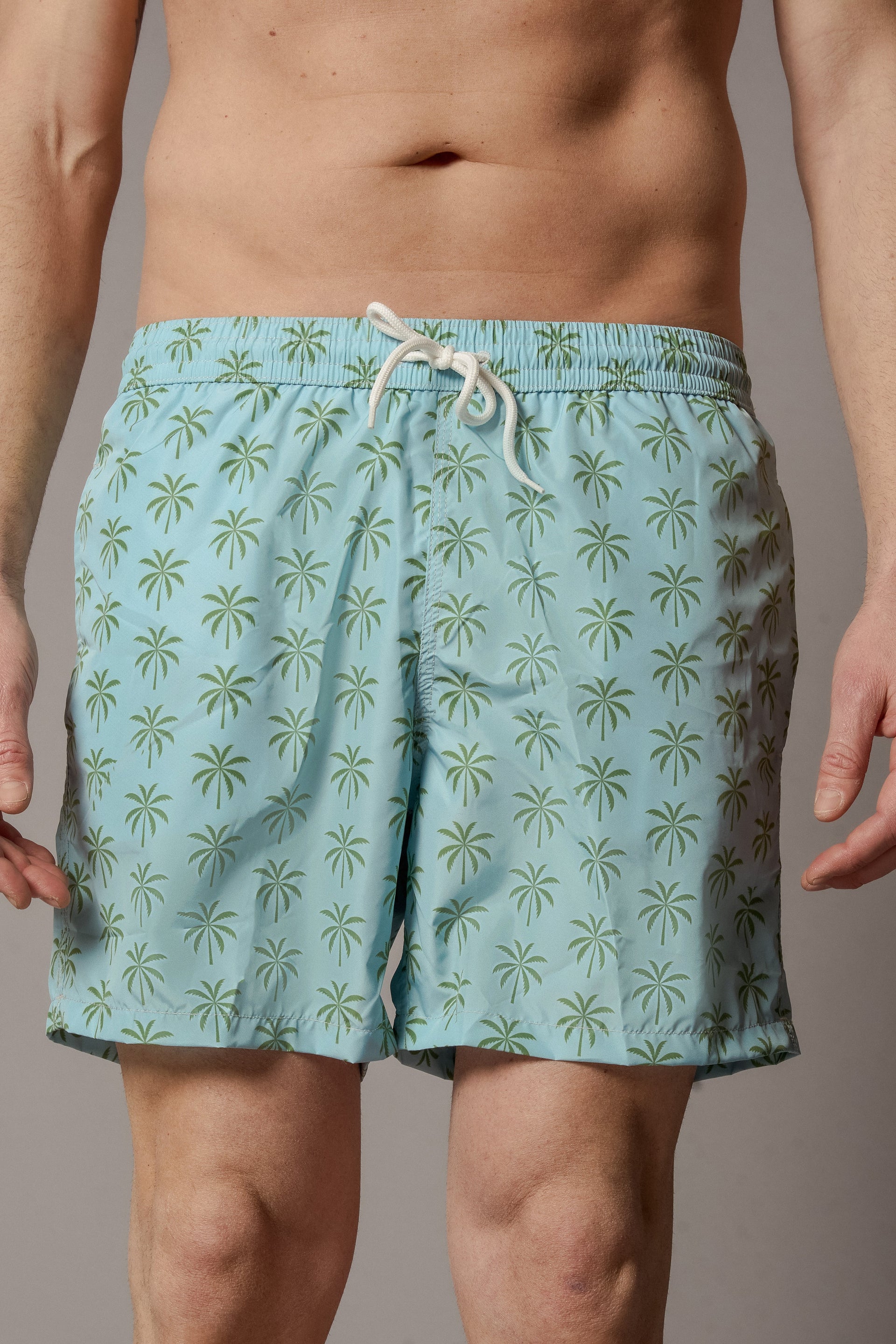 KAI Mens Swimwear Palms