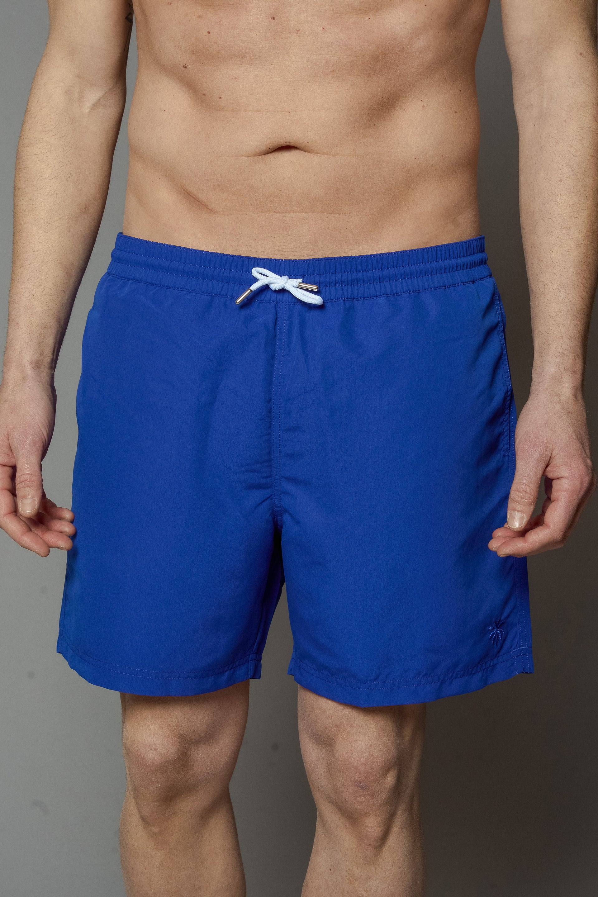 ANDREW Men's Swimwear Solid Colors