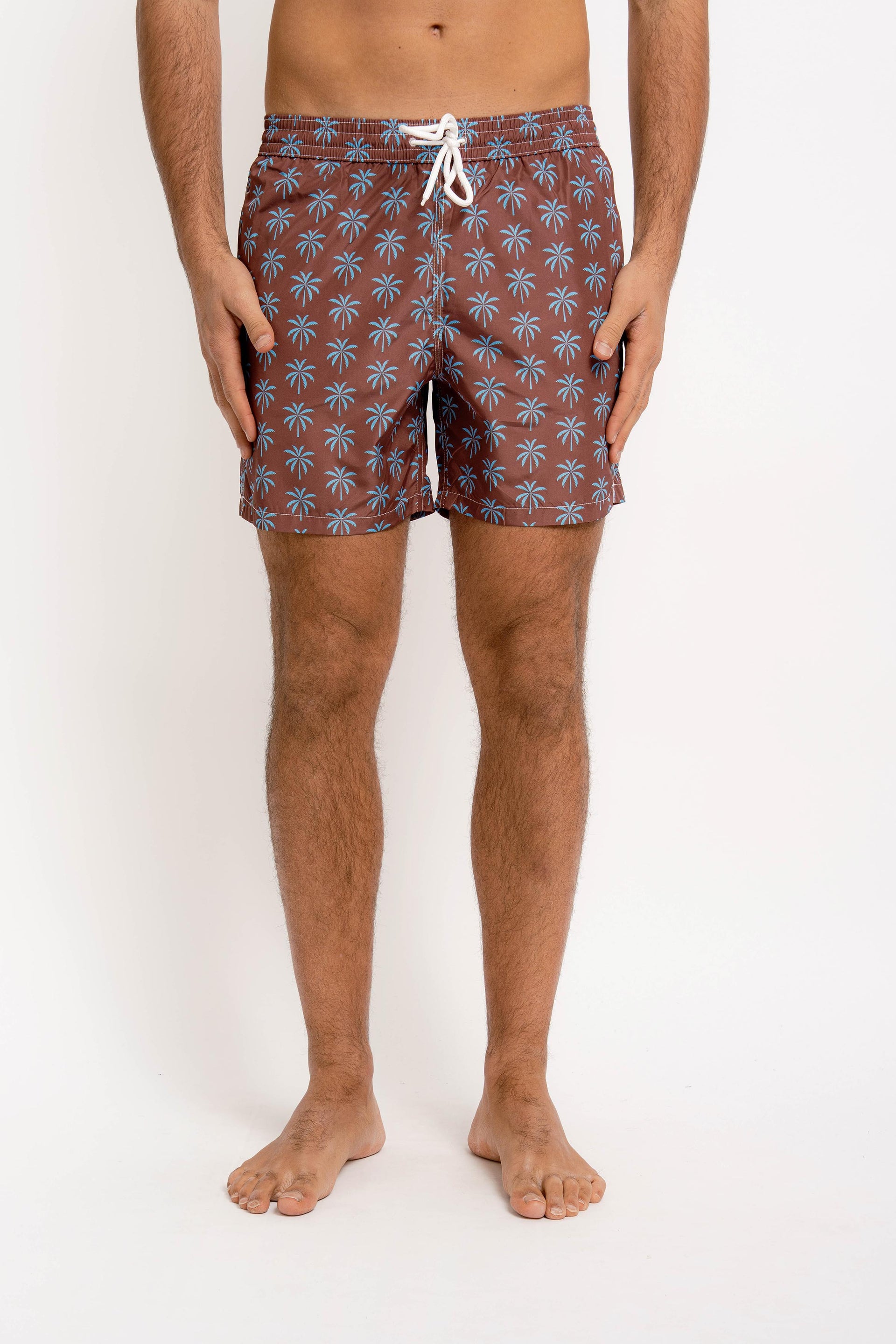 KAI Mens Swimwear Palms