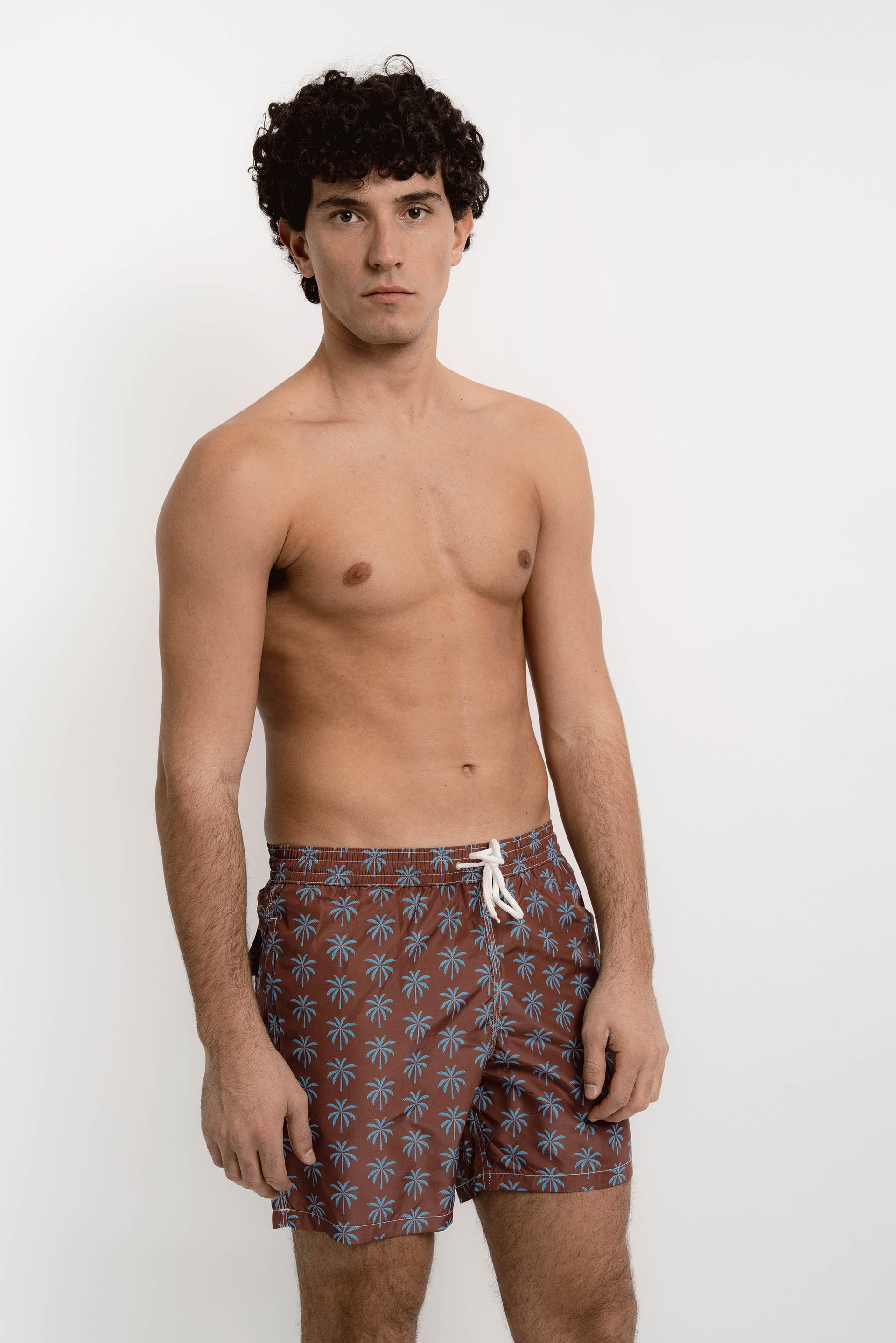 KAI Mens Swimwear Palms